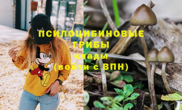 ешки Наволоки