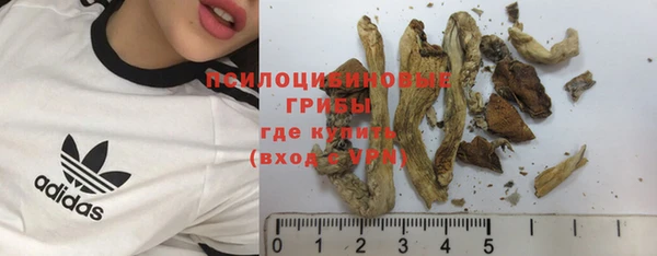 MDMA Нефтегорск