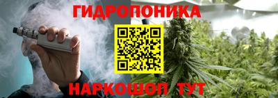 mdma Аргун