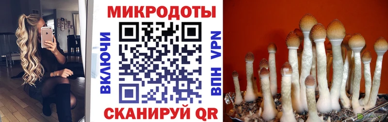 Псилоцибиновые грибы Cubensis  продажа наркотиков  Электрогорск 