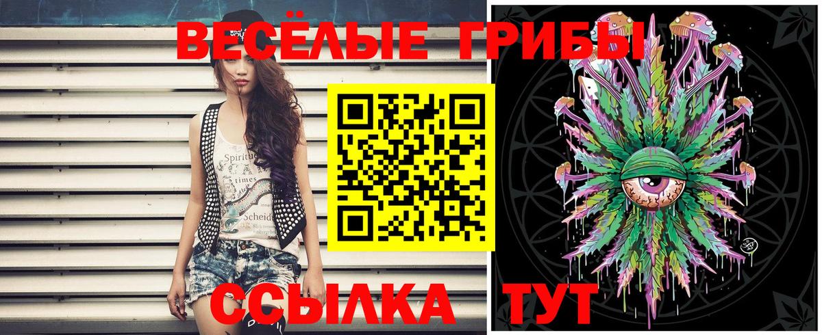 Электрогорск  как найти закладки  Вход с VPN  Галлюциногенные грибы ЛСД 