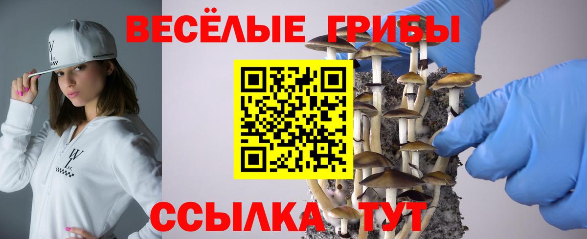 Псилоцибиновые грибы Magic Shrooms  Электрогорск 